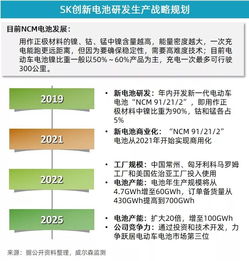 5月新能源汽車行業(yè)月報